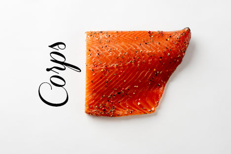 Saumon fumé - partie corps